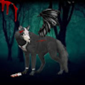 Meet your Posher, Svetlana